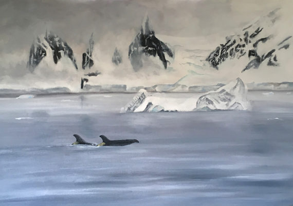 Orcas